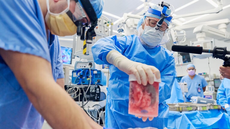 Thực hiện thành công ghép thận lợn cho người: Hy vọng mới về ghép tạng dị chủng