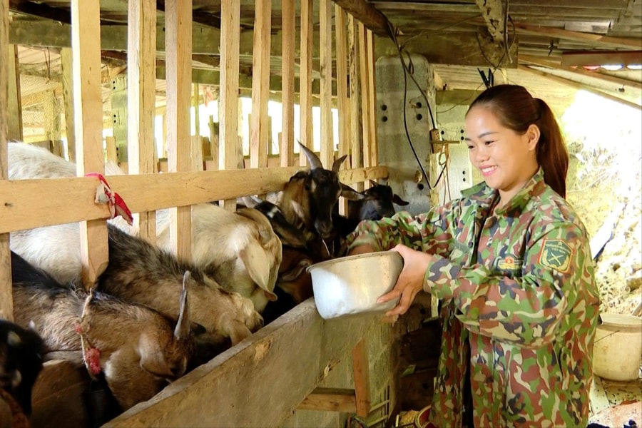 Thắp lên hành trình thoát nghèo bền vững