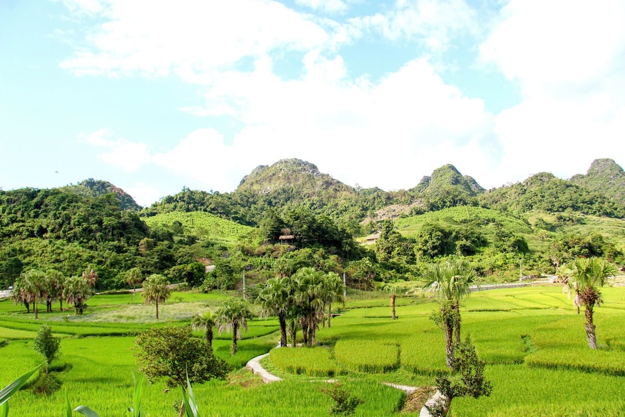 Hạt lúa mới mở đường thoát nghèo cho đồng bào Bản Tèn