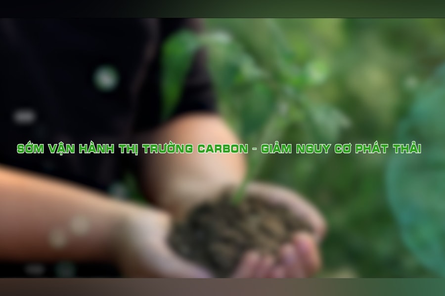 Sớm vận hành thị trường carbon – Giảm nguy cơ phát thải