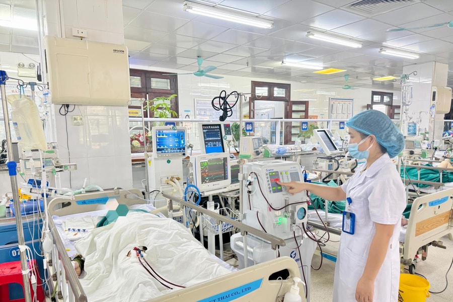 Sốc phản vệ, suy đa tạng sau khi bị ong vò vẽ đốt hơn 100 vết