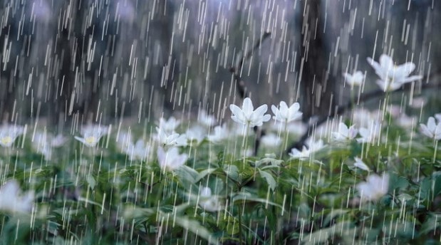 Không khí lạnh gây mưa lớn từ Hà Tĩnh đến Khánh Hòa