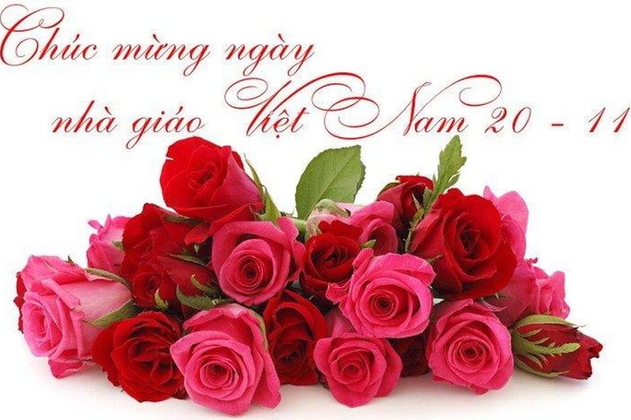 20 lời chúc ý nghĩa Ngày Nhà giáo Việt Nam 20/11