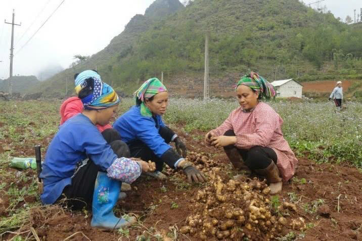 Cao Bằng tăng tốc giảm nghèo từ nguồn vốn Chương trình mục tiêu quốc gia