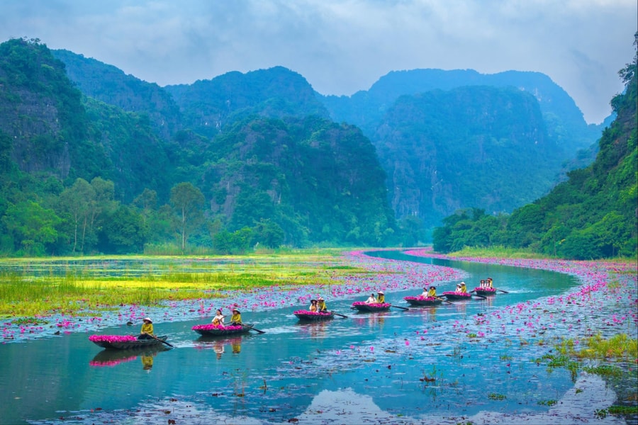 Sắc hồng Tam Cốc 2025 - Bản tình ca mùa Thu