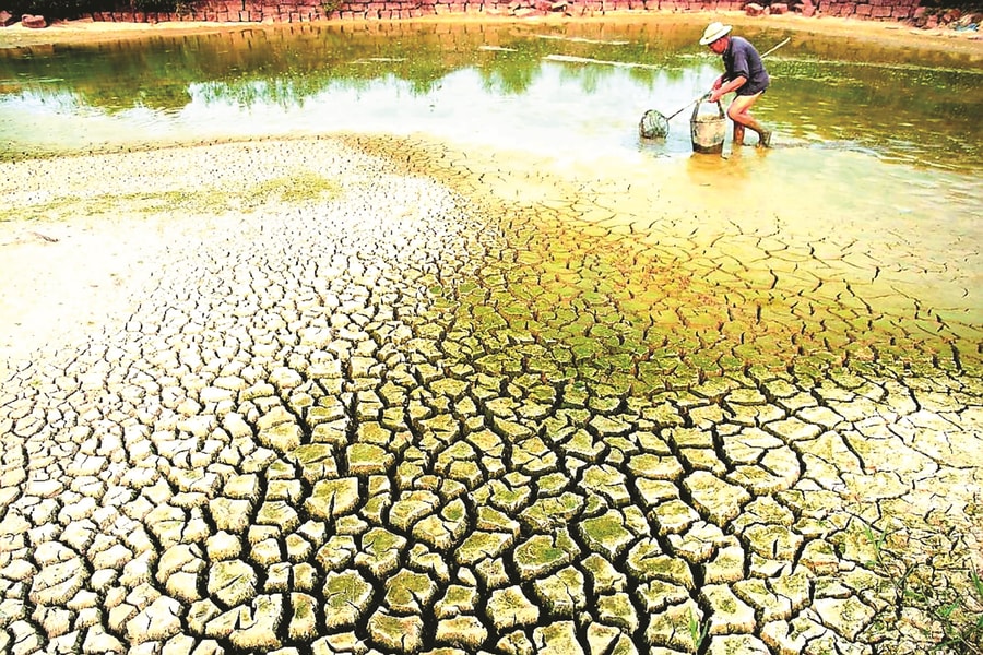 Ứng dụng khoa học, công nghệ phát triển bền vững đồng bằng sông Cửu Long