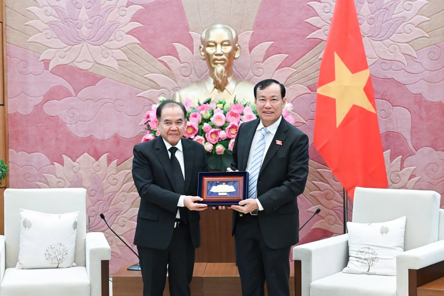 Chủ nhiệm Ủy ban Quốc phòng, An ninh và Đối ngoại, Thượng tướng Lê Tấn Tới tiếp Đoàn Ủy ban Đối ngoại Thượng viện Thái Lan