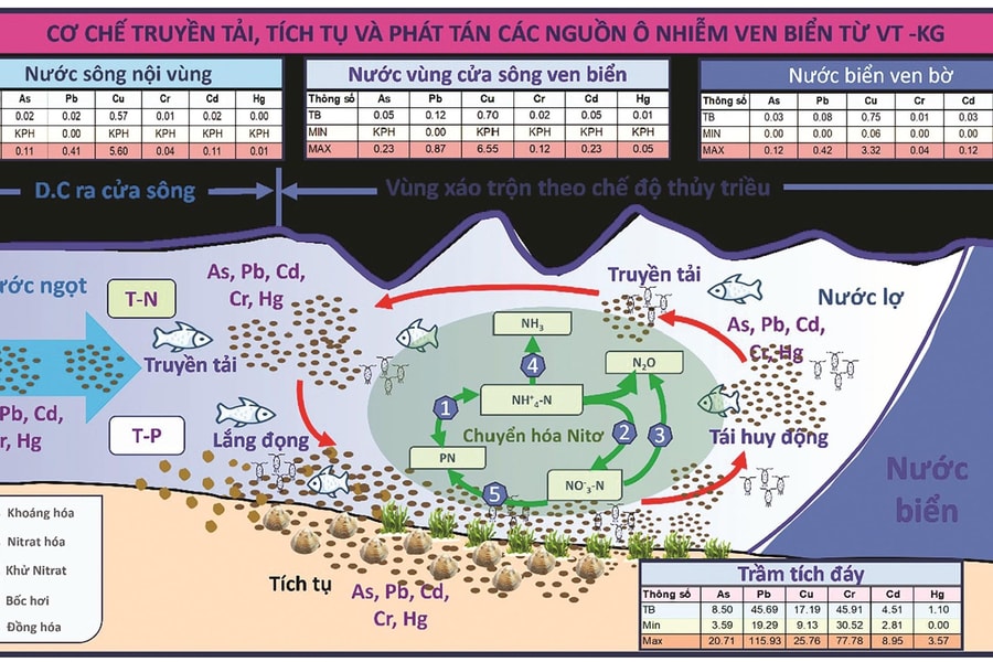 Nghiên cứu cơ chế tích tụ và phân tán ô nhiễm dọc bờ biển Nam Bộ