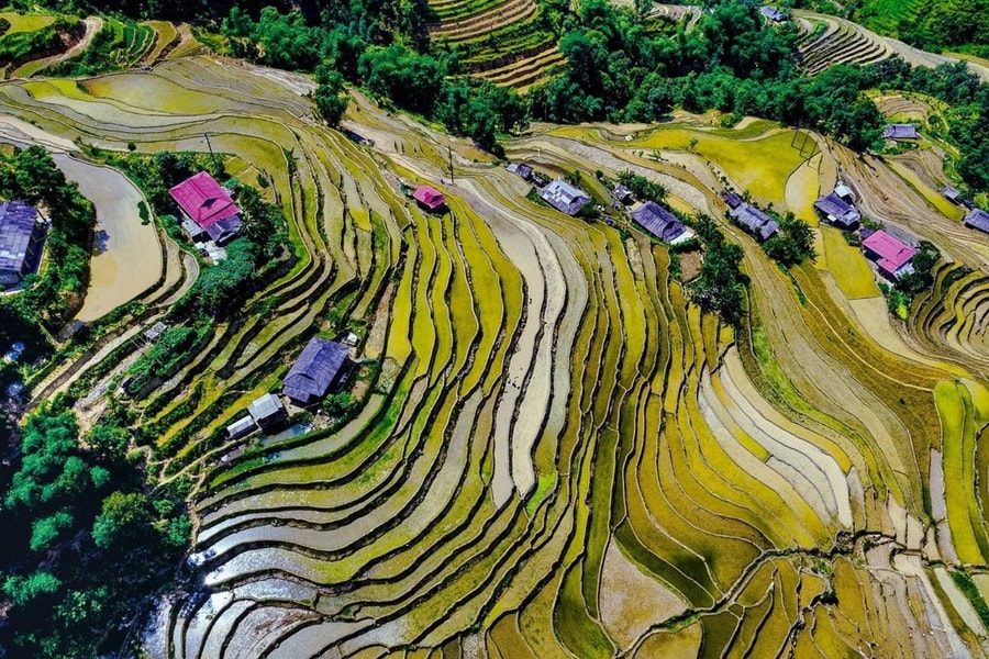 Tích hợp để tạo sức mạnh cộng hưởng và phát triển