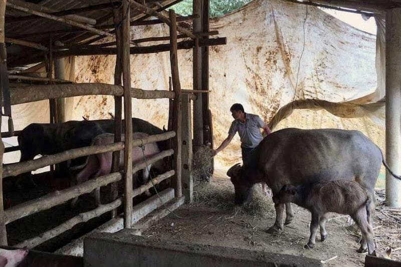 Xã Lạc Sơn tạo đột phá trong giảm nghèo từ truyền thông và sinh kế