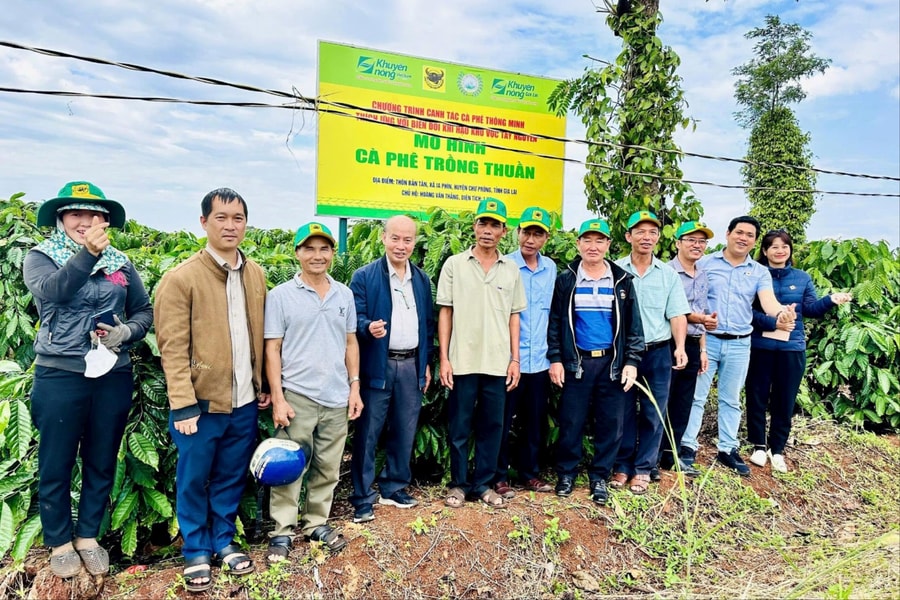 Canh tác cà phê cần một tư duy mới