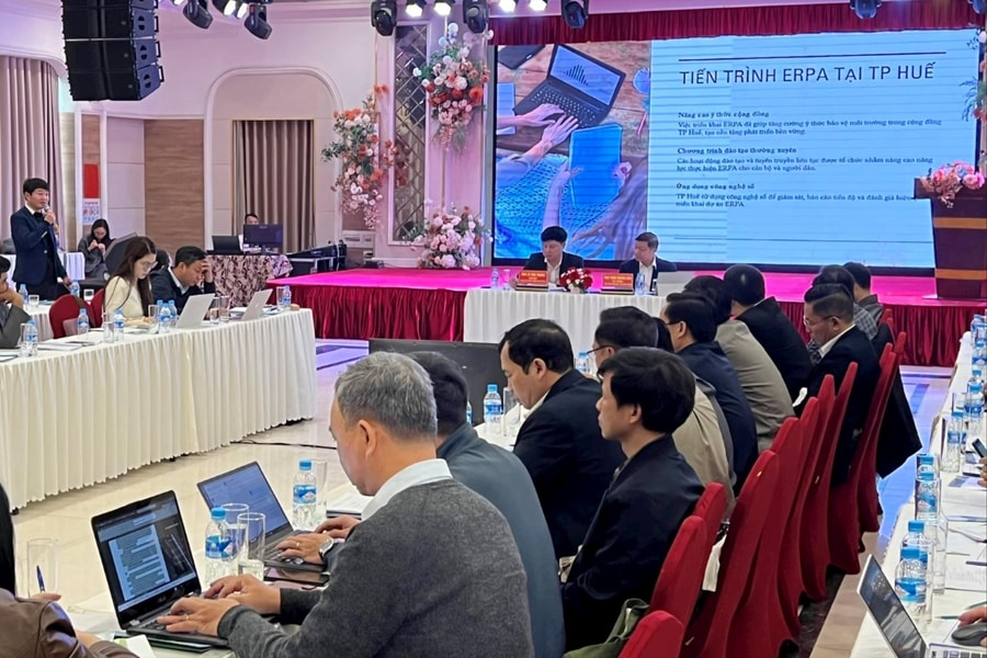 Dấu mốc tiên phong đưa tín chỉ c arbon rừng Việt Nam ra thị trường thế giới