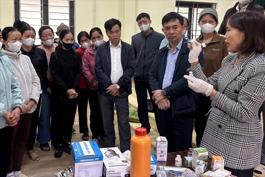Thái Nguyên: Đào tạo nghề gắn với nhu cầu thực tế của đồng bào miền núi