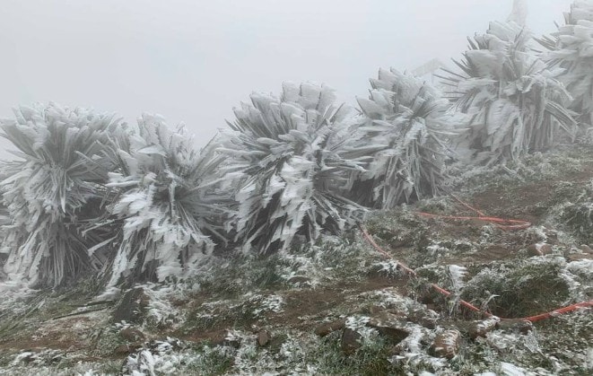 Gió mùa tràn về miền Bắc, vùng núi cao có nơi dưới 5°C