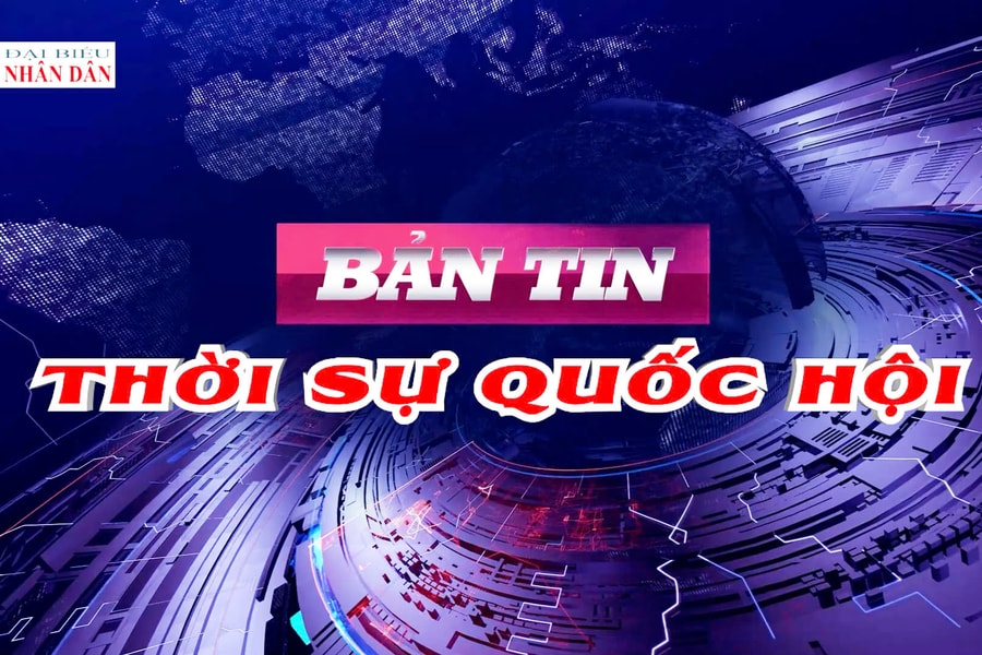 Bản tin Thời sự Quốc hội ngày 13/12/2025