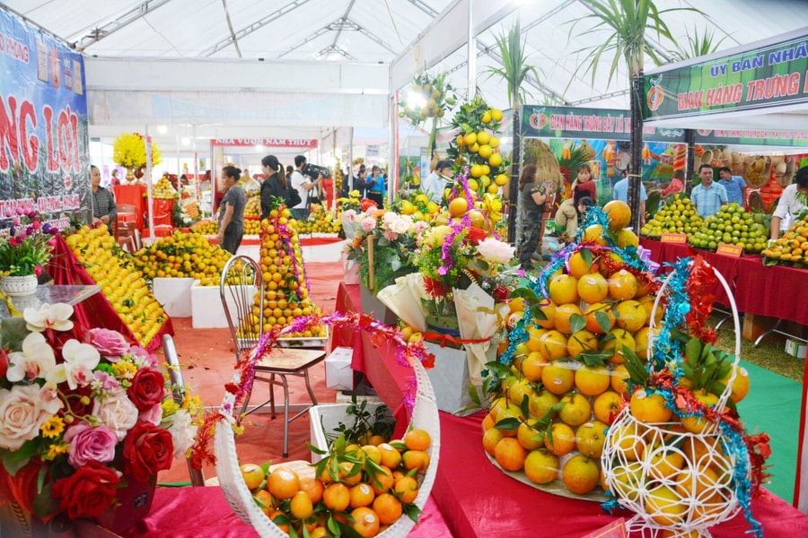 Phú Thọ: 120 gian hàng trưng bày tại Lễ hội cam Cao Phong