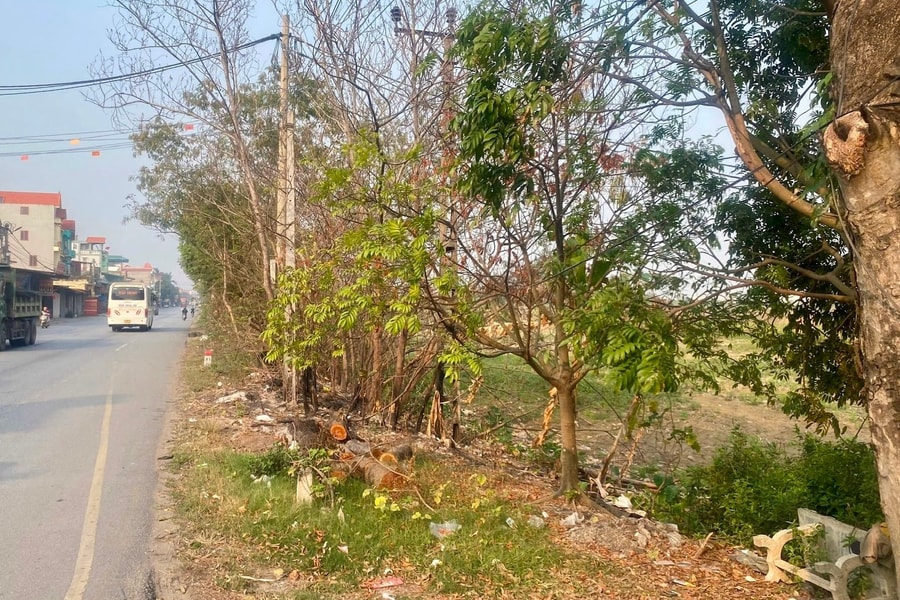 Hải Phòng: Giao hơn 100.000m2 đất cho Công ty cổ phần tập đoàn đầu tư Tây Bắc để thực hiện dự án