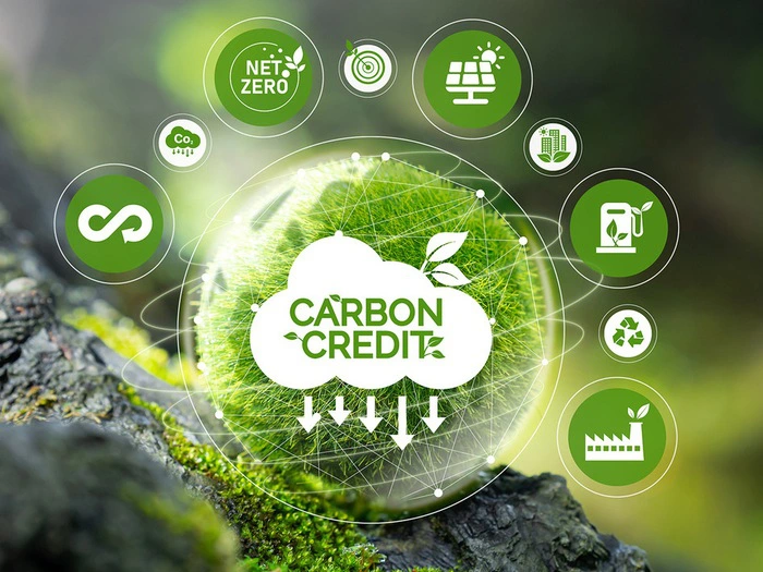 Sàn giao dịch carbon và quyết tâm phát triển xanh