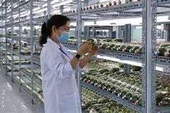 Bước đột phá chiến lược cho tương lai công nghệ Việt Nam