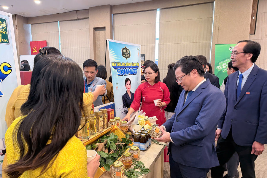 Hệ sinh thái khởi nghiệp Việt Nam bứt tốc năm 2025