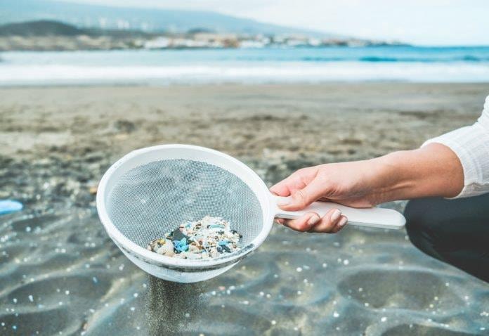 Hành trình pháp lý bảo vệ hệ sinh thái và con người