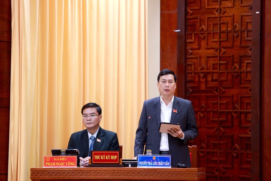 Chất vấn nhiều vấn đề về bảo tồn, phát huy giá trị di sản văn hóa