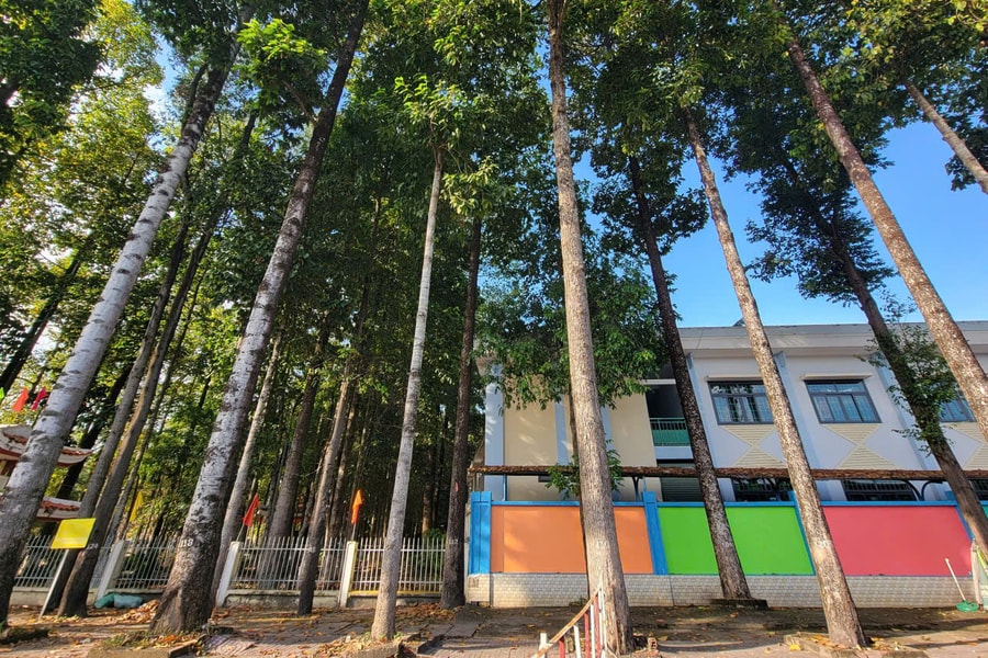 TP. Hồ Chí Minh: Năm 2026 sẽ trồng 15.000 cây xanh phân tán để góp phần bảo vệ môi trường