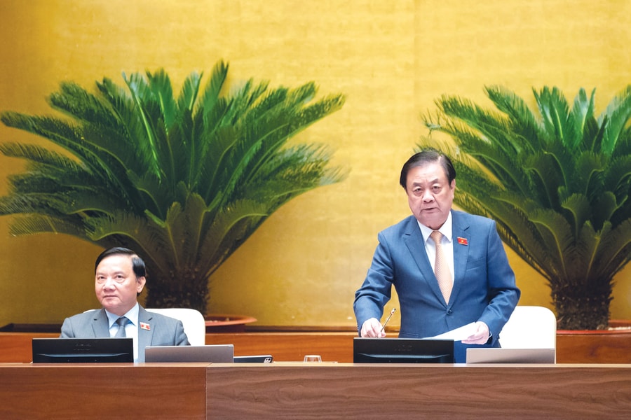 Nâng cao kỷ cương thực hiện pháp luật về môi trường