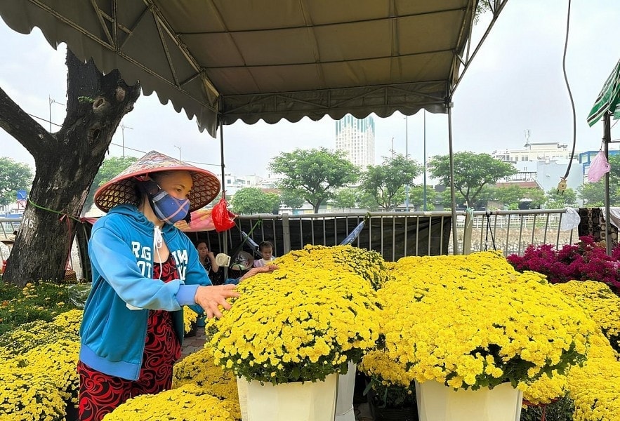 Hội hoa Xuân TP. Hồ Chí Minh: “Xuân hội tụ - Vững bước vươn mình”