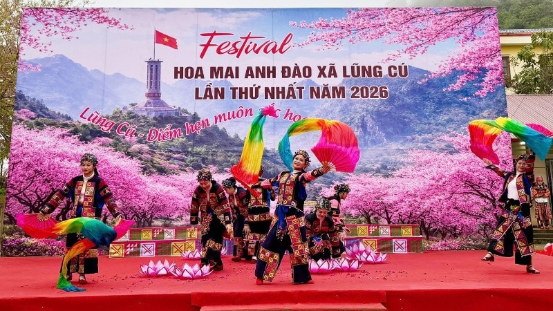 Lũng Cú khai mạc Festival hoa mai anh đào lần thứ nhất