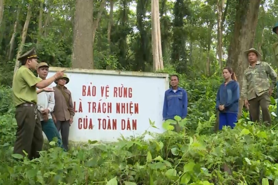 Khánh Hòa: Phấn đấu đến năm 2030, tỷ lệ che phủ rừng đạt 47%