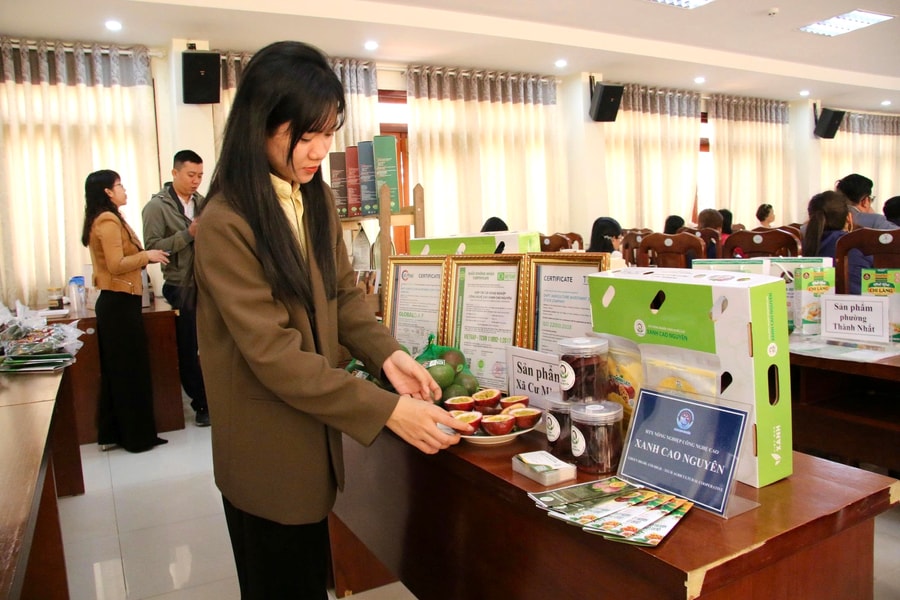 Đắk Lắk: Nâng chuẩn sản phẩm OCOP địa phương để phát triển bền vững