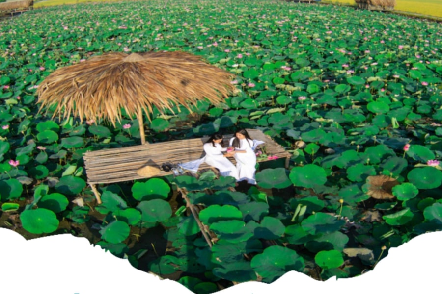 Đồng Tháp: Phát triển du lịch từ giá trị lịch sử, văn hóa và sinh thái