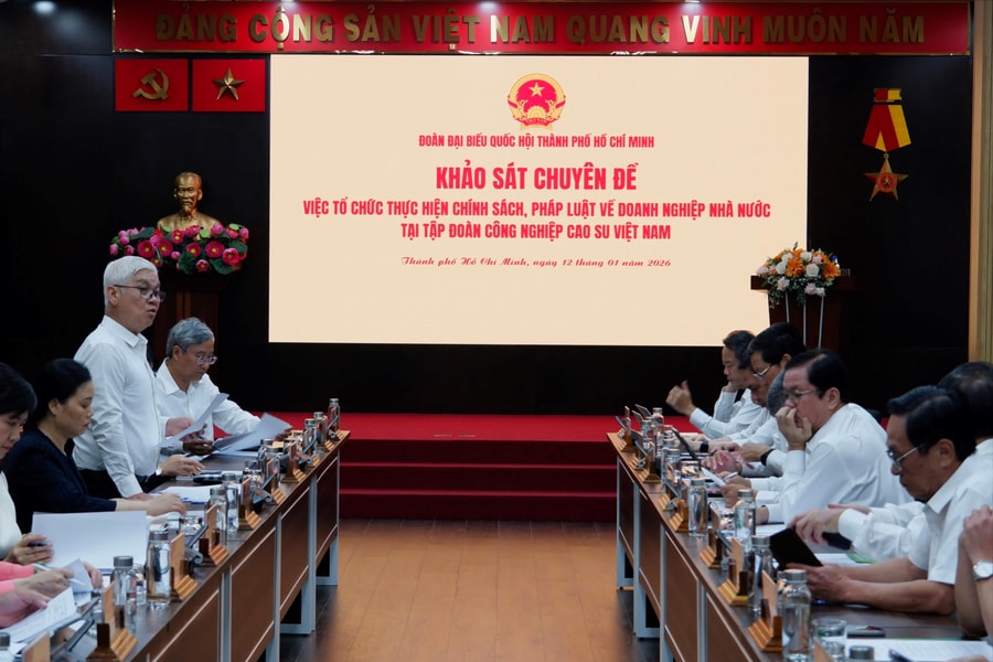 Khảo sát việc thực hiện chính sách, pháp luật tại Tập đoàn Công nghiệp Cao su Việt Nam