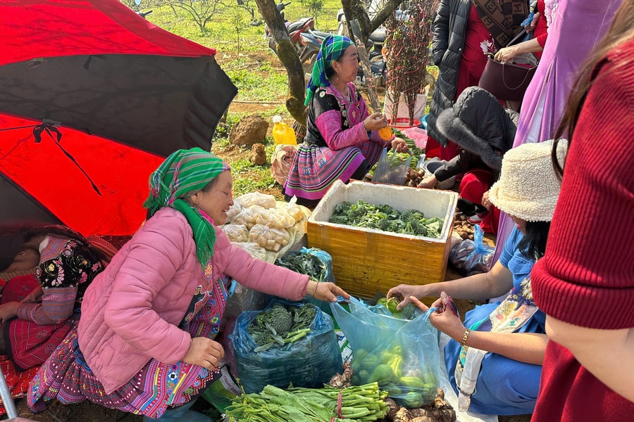 Xuân đã về nơi nẻo cao Sơn La