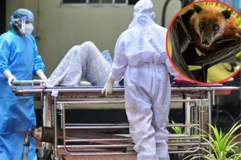 Virus nguy hiểm tái xuất ở Ấn Độ, nhiều nước kích hoạt các biện pháp phòng dịch thời COVID-19