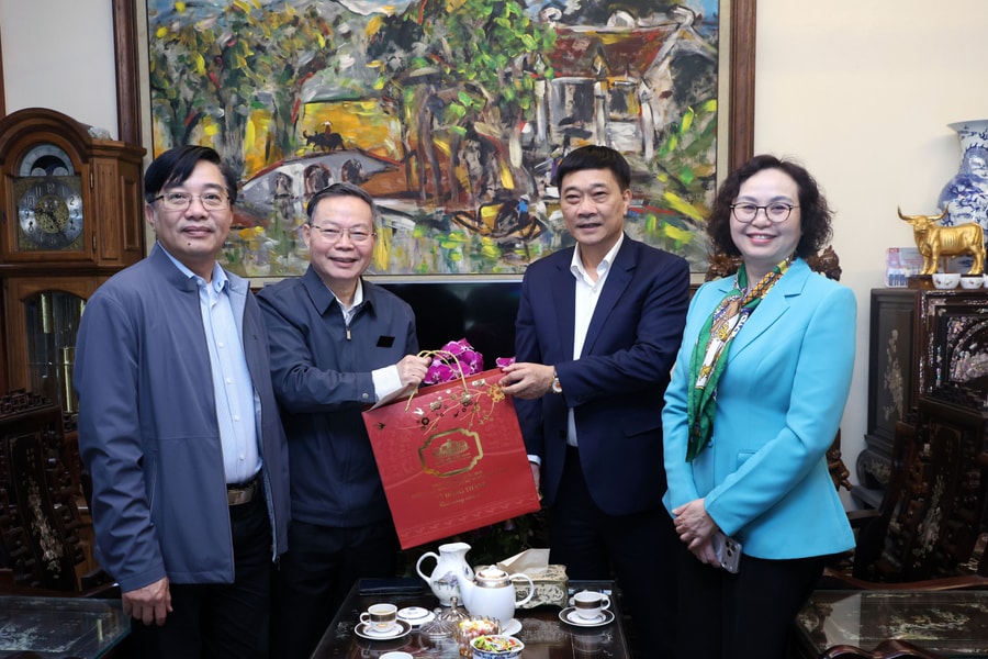 Phó Chủ tịch Quốc hội Vũ Hồng Thanh chúc Tết nguyên lãnh đạo Quốc hội