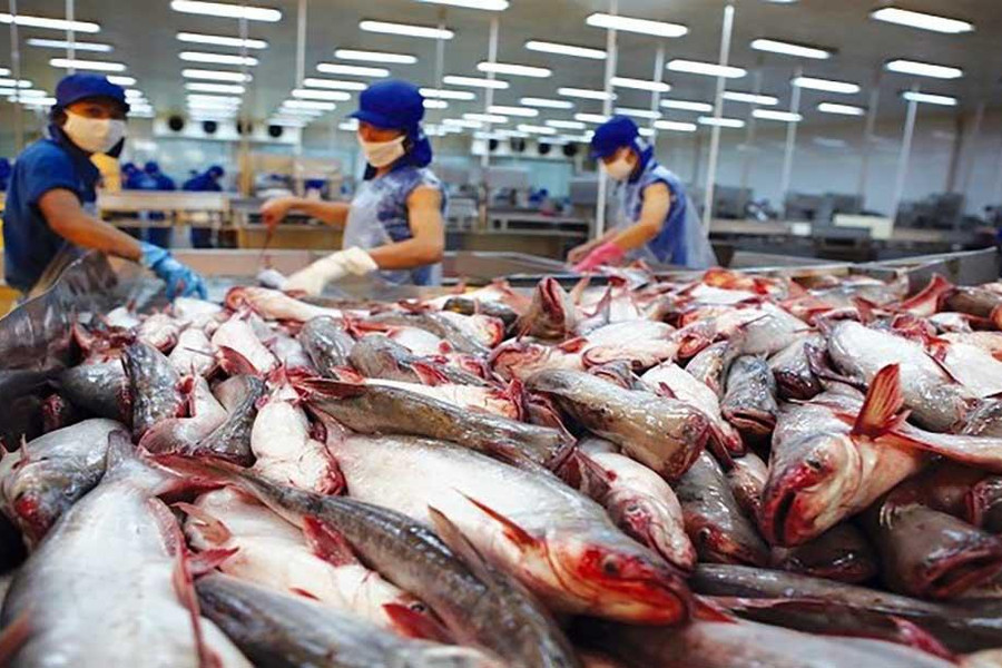 Chủ động phòng vệ thương mại bằng dữ liệu