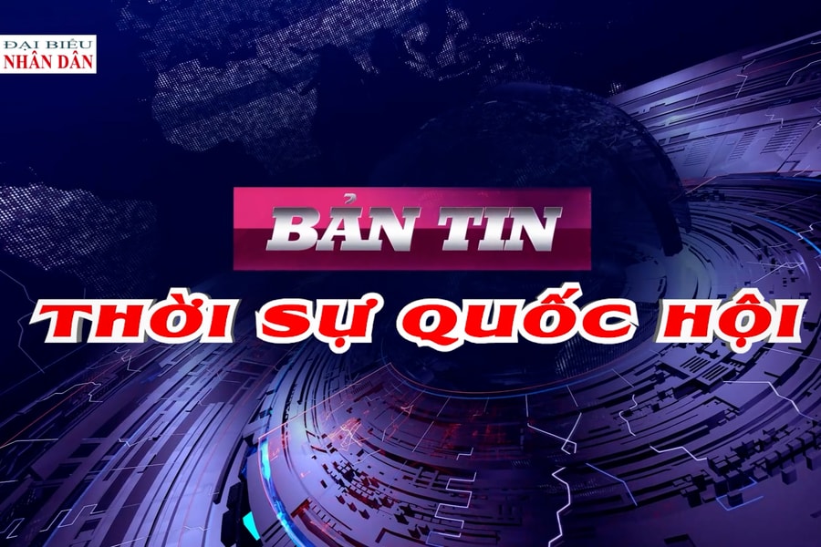 Bản tin Thời sự Quốc hội ngày 11/2/2026