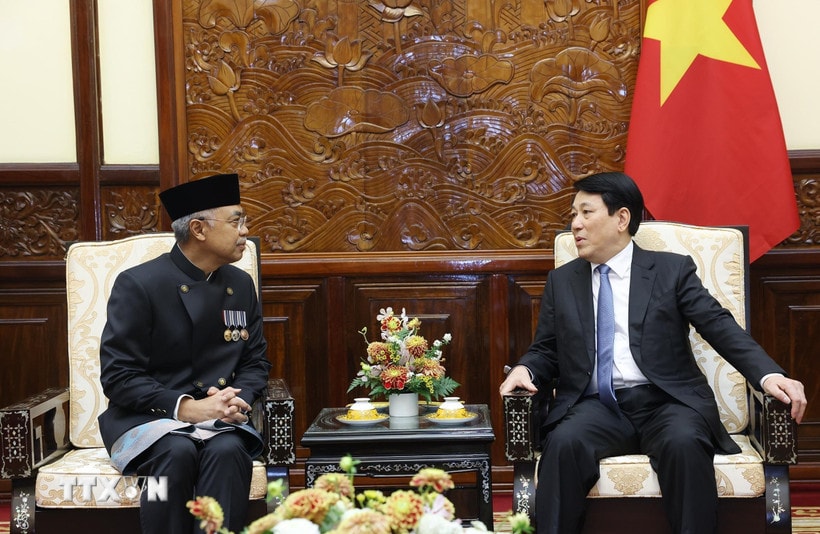 Chủ tịch nước Lương Cường tiếp Đại sứ Indonesia, Philippines trình thư ủy nhiệm