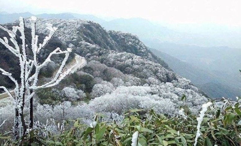 Dự báo thời tiết ngày 6/2: Bắc bộ rét đậm, mưa phùn