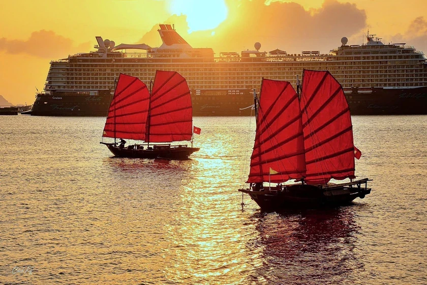 Quảng Ninh: Tạm dừng chạy thuyền buồm đỏ ven bờ vịnh Hạ Long từ ngày mai 27/2