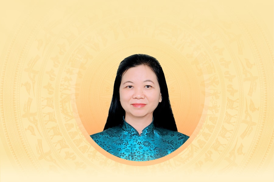 Tiểu sử tóm tắt và chương trình hành động của người ứng cử đại biểu Hội đồng Nhân dân tỉnh Đồng Nai Khóa XI Nguyễn Thị Oanh