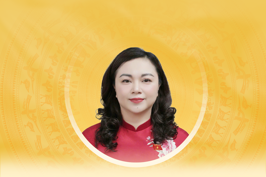 Tiểu sử tóm tắt và chương trình hành động của người ứng cử đại biểu Quốc hội khóa XVI tỉnh Phú Thọ Đặng Bích Ngọc