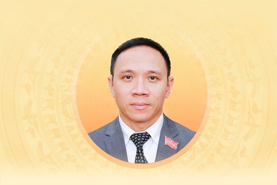 Tiểu sử tóm tắt và chương trình hành động của người ứng cử đại biểu Hội đồng nhân dân Thành phố Hải Phòng Khoá XVII Đào Trọng Đức