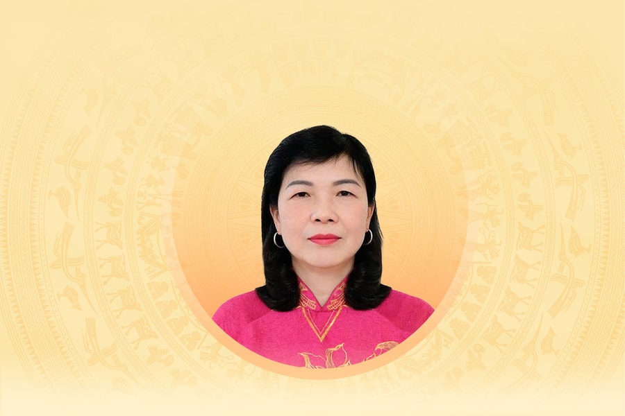 Tiểu sử tóm tắt và chương trình hành động của người ứng cử đại biểu Hội đồng nhân dân tỉnh Tuyên Quang khóa XX Phạm Thị Minh Xuân