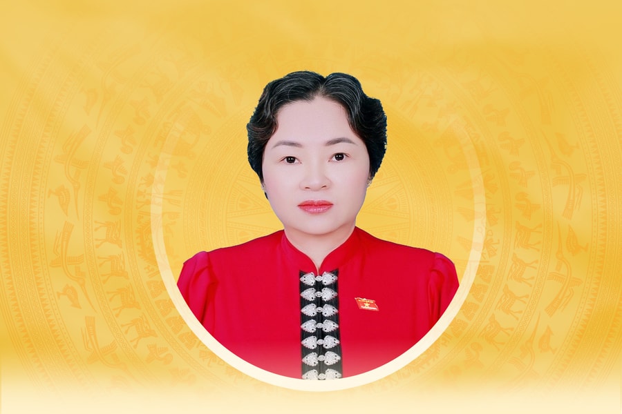 Tiểu sử tóm tắt và chương trình hành động của người ứng cử đại biểu Quốc hội khóa XVI tỉnh Điện Biên Lò Thị Luyến