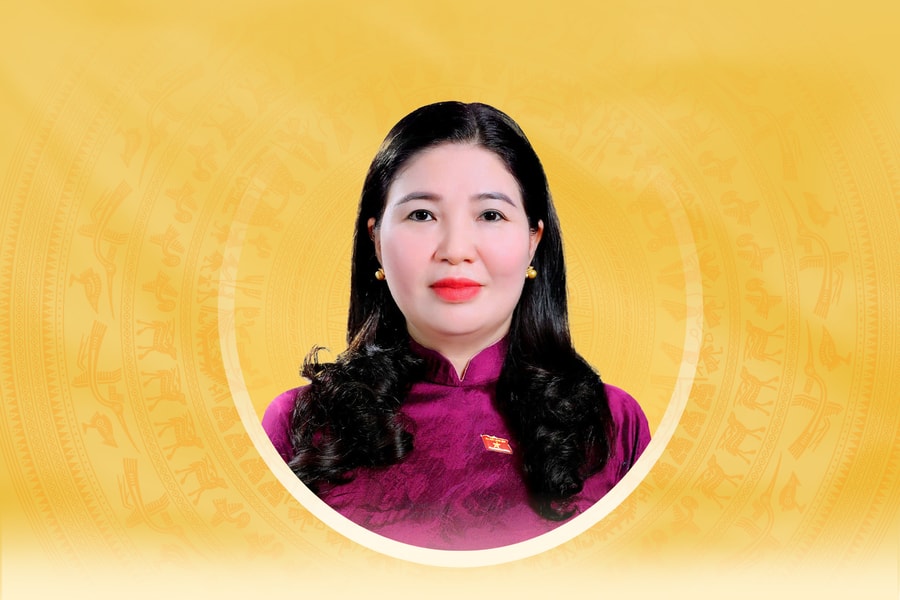 Tiểu sử tóm tắt và chương trình hành động của người ứng cử đại biểu Quốc hội khóa XVI, đại biểu Hội đồng nhân dân tỉnh Bắc Ninh khóa XX Trần Thị Vân
