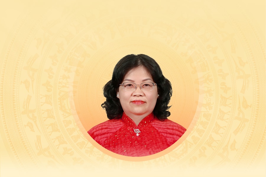 Tiểu sử tóm tắt và chương trình hành động của người ứng cử đại biểu Hội đồng nhân dân TP. Hồ Chí Minh khóa XI Nguyễn Trường Nhật Phượng