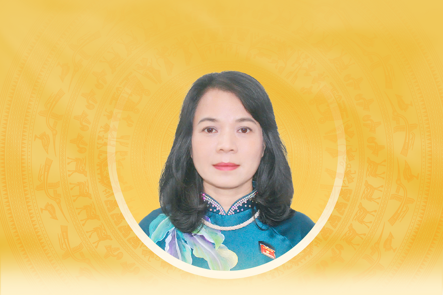 Tiểu sử tóm tắt và chương trình hành động của người ứng cử đại biểu Quốc hội khóa XVI tỉnh Lâm Đồng Phạm Thị Hồng Yến